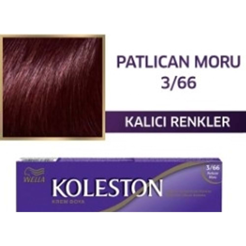 Koleston Boya No:3/66 Patlıcan Moru