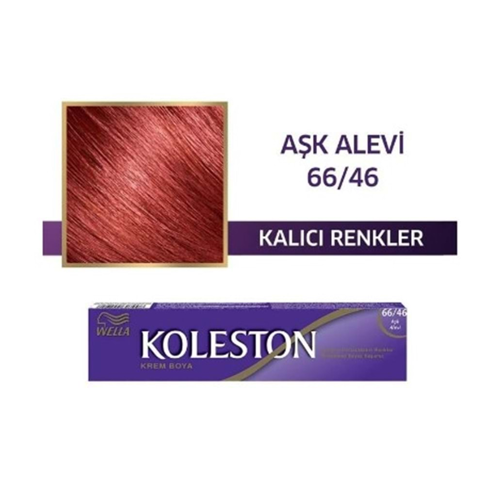 Koleston Boya No:66/46 Ask Alevı