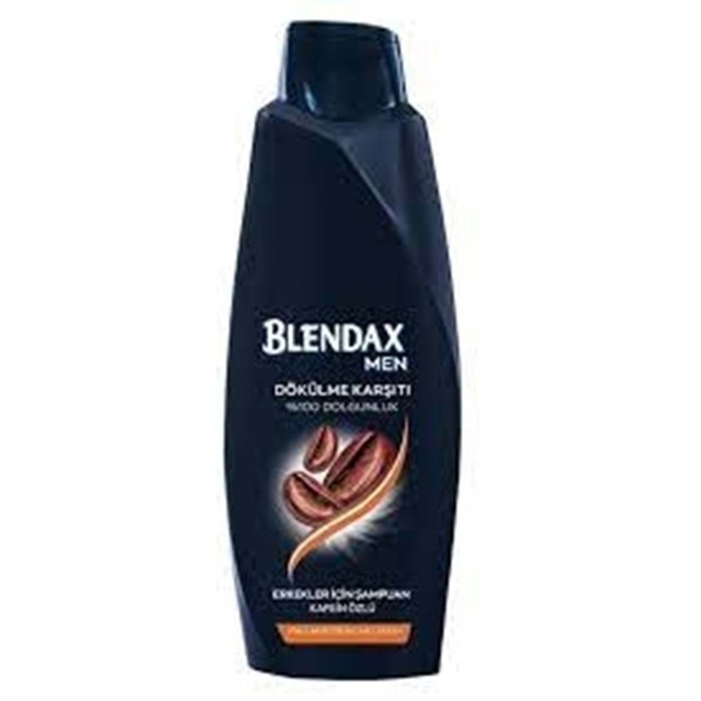 Blendax Men Kafeın Özlü-Dökülmeye Karsı Samp. 500Ml