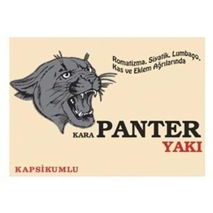 Karapanter Yakı