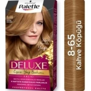 Palette Delüxe Kahve Köpügü 8-65