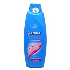 Blendax Anında Parlak&Yumusak / Mat Saçlar 550 Ml