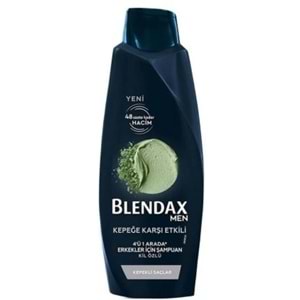 Blendax Men Kil Özlü Kepekli Saçlar İçin 4ü1 Arada Sampuan 500Ml