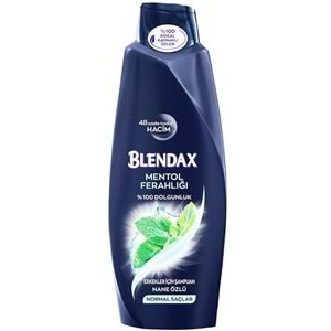 Blendax Men Nane Özlü-Normal Saçlar Içın Samp. 500Ml