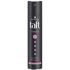 Taft Power Saç Spreyi No:5 250Ml