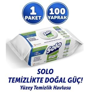 Solo Yüzey Temizlik Havlusu 100Lü Okaliptus&Çam Esintisi