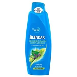 Blendax Bitki Özlü / Yağlı Saçlar Arındırıcı Şampuan 500Ml