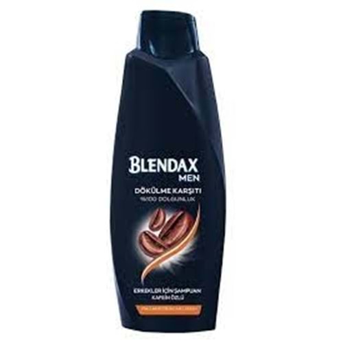 Blendax Men Kafeın Özlü-Dökülmeye Karsı Samp. 500Ml